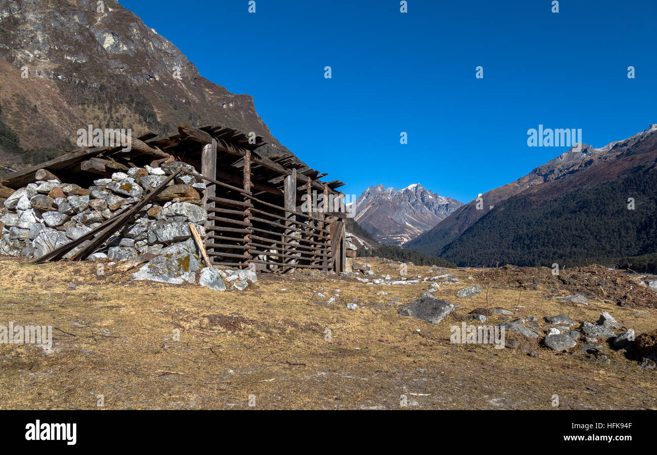 Yumthang Bergtal ist eine Weide Weide, die umgeben von den Bergen des Himalaya in Nord-Sikkim, Indien. Stockfoto