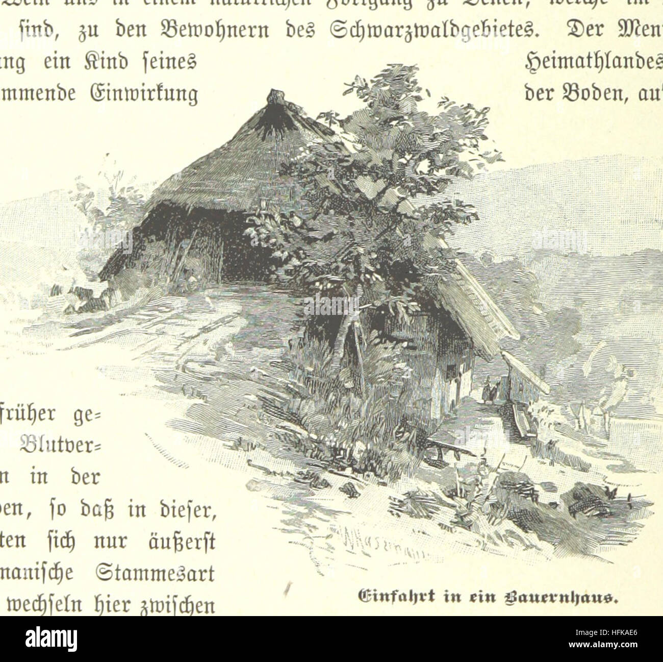 Bild entnommen Seite 116 von ' Der Schwarzwald... Mit Comicstrips von W. Hasemanns usw. "Bild entnommen Seite 116 von ' Der Schwarzwald Mit Stockfoto