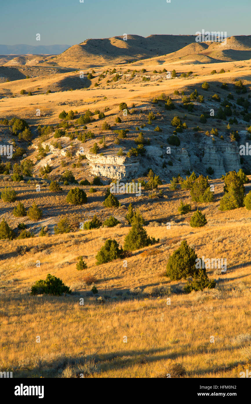 Grünland-Blick vom Trail, Madison Buffalo Jump State Park, Montana Stockfoto
