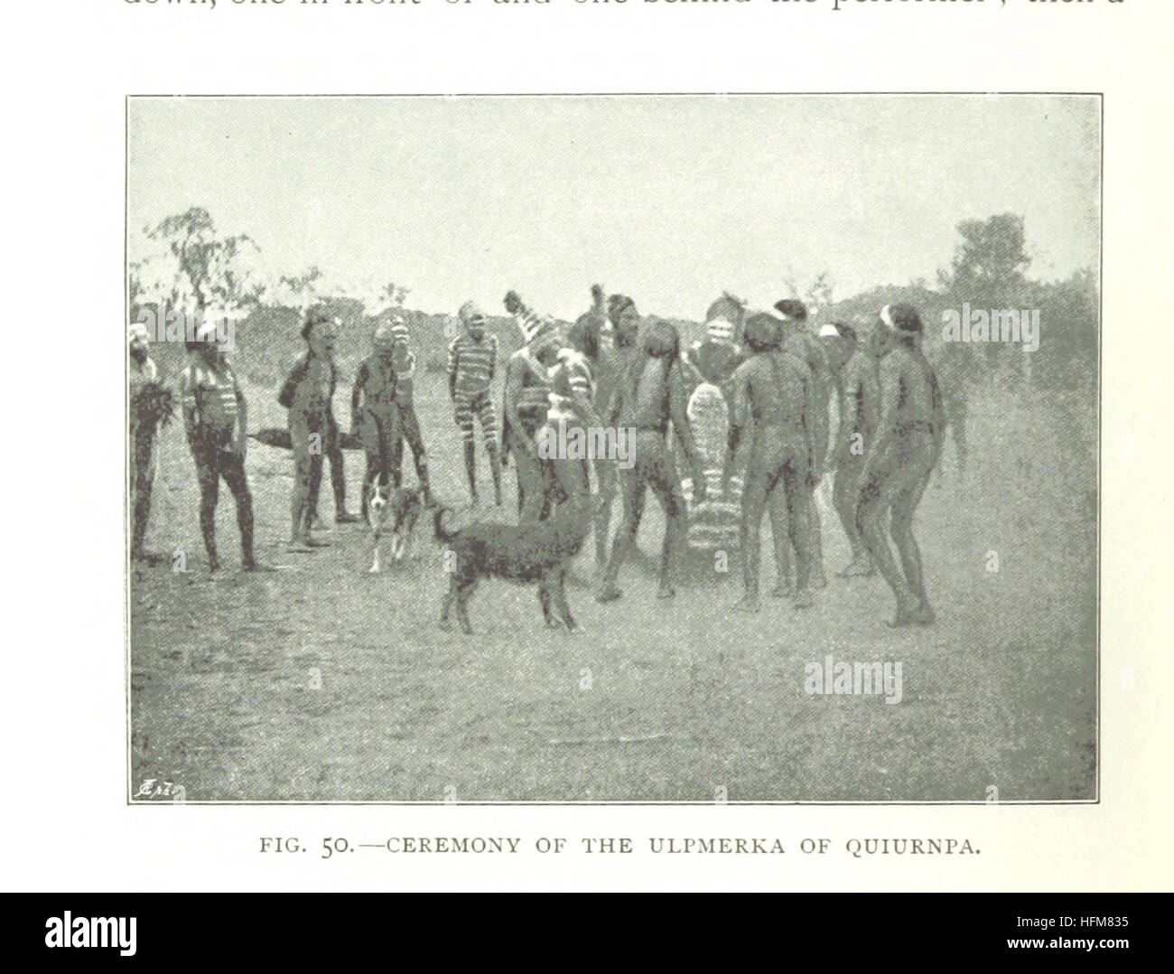 Dieses Bild von Seite 318 von „The Native Tribes of Central Australia“ von Sir Baldwin Spencer veranschaulicht einen der einheimischen Stämme und hebt kulturelle Praktiken und Lebensstile zusammen mit detaillierten ethnographischen Informationen hervor. Stockfoto