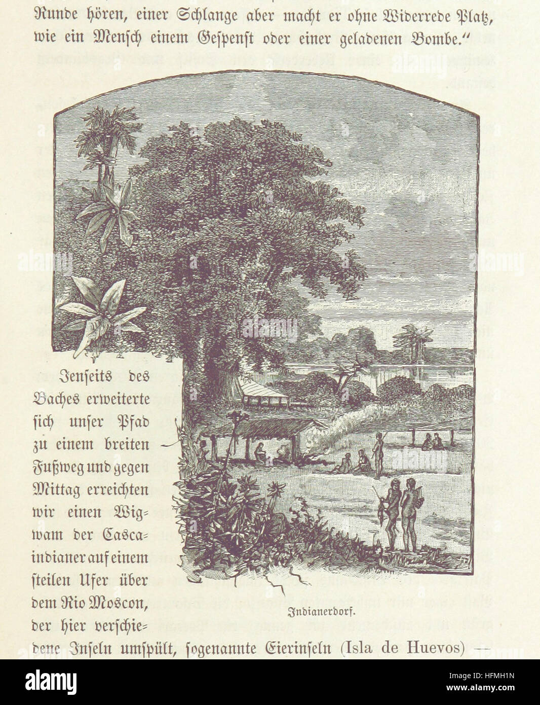 Streifzüge in den Urwäldern von Mexiko und Central-Amerika ist ein Reisebericht von Felix Leopold Oswald, der die Wälder Mexikos und Mittelamerikas dokumentiert. Es umfasst 76 Illustrationen, die den dichten Dschungel und die vielfältigen Ökosysteme der Region zeigen. Stockfoto