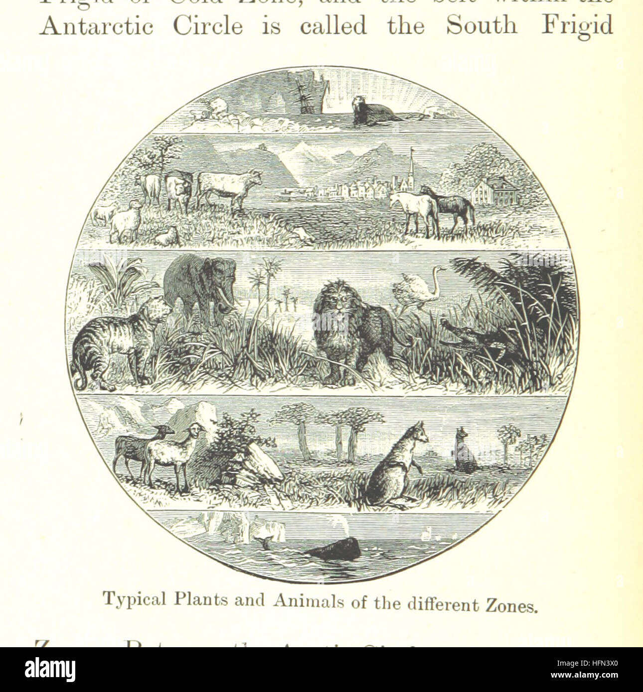 Bild von Seite 44 der "Chambers Alternative Geographie Leser. Standard-IV. (-VII.) " Bild von Seite 44 der "Chambers Alternative Geographie Leser Stockfoto