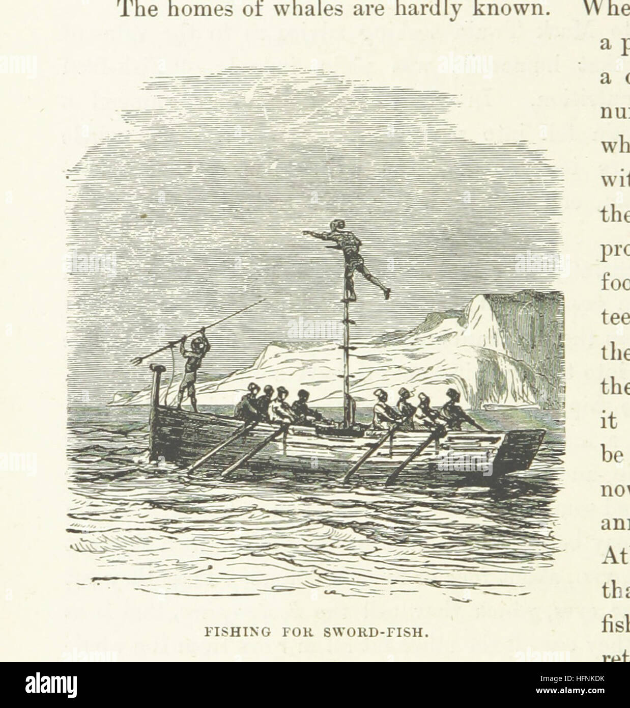 Bild entnommen Seite 552 von "[The Sea: eine mitreißende Geschichte von Abenteuer, Gefahr & Heldentum.]" Bild entnommen Seite 552 von "[The Sea seine rühren Stockfoto