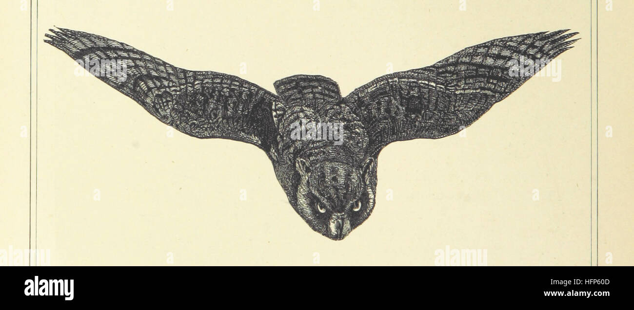 Dieses Bild von Seite 70 von „Woodland Romances“ zeigt eine Sammlung von Fabeln und Fantasien, die einen Einblick in die literarische Kreativität und die Rolle der Natur beim Erzählen von Geschichten bietet, mit Illustrationen von Waldbewohnern und Szenen. Stockfoto