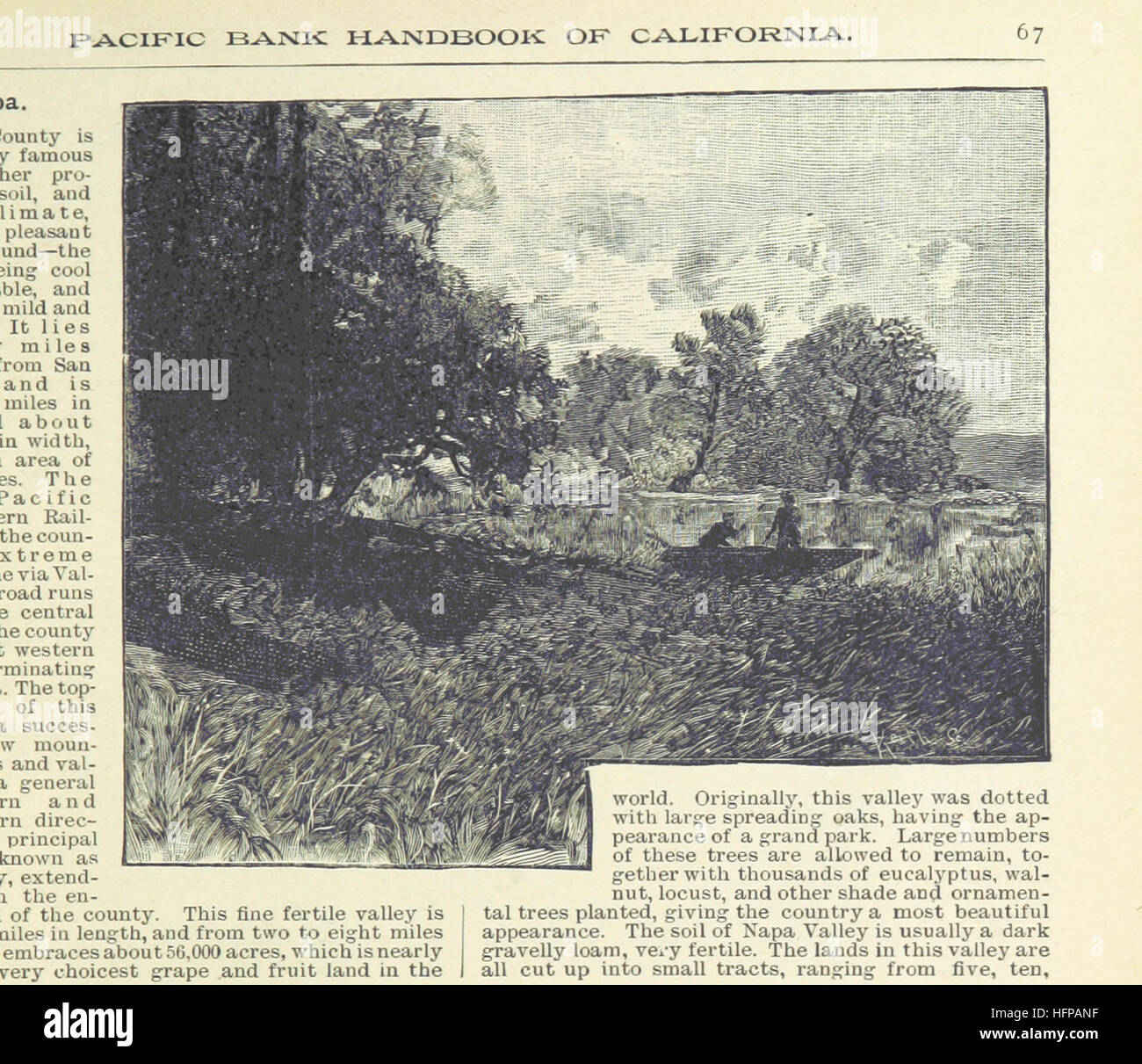 Dieses Bild, das auf Seite 77 des „Pacific Bank Handbook of California“ aufgenommen wurde, bietet eine Illustration, die sich auf die Geographie und die Wahrzeichen Kaliforniens während des späten 19. Jahrhunderts bezieht. Stockfoto