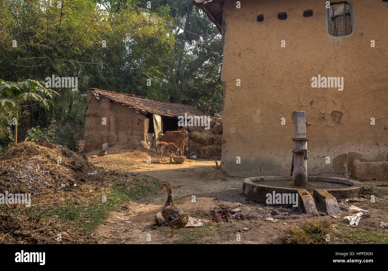 Indische Bauerndorf Szene mit Schlamm Häuser, Vieh, Geflügel und ein tiefes Rohr gut im Vordergrund. Stockfoto