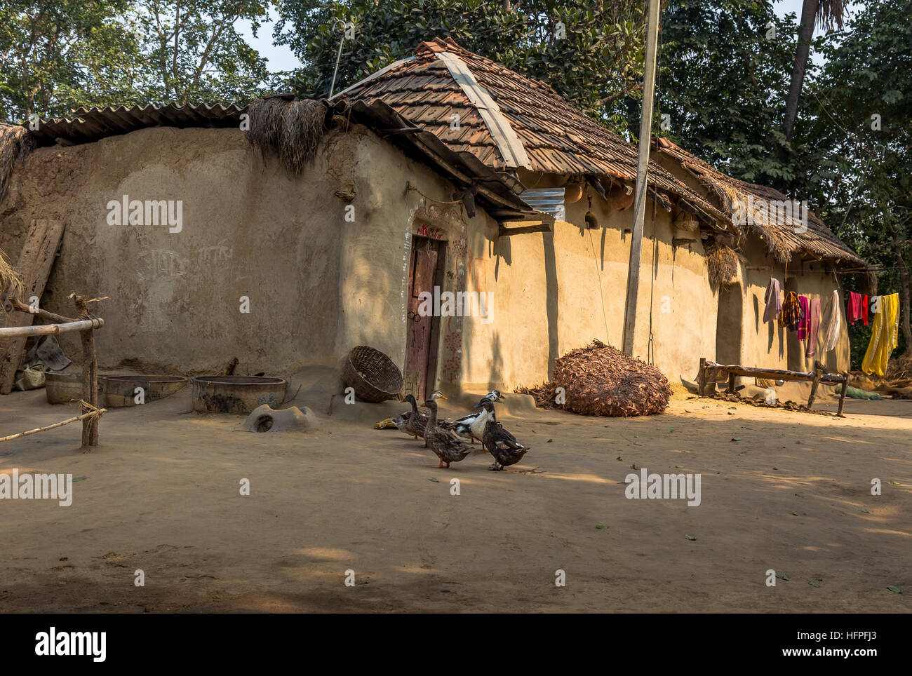 Indianerdorf ländliche Szene mit Schlamm Häuser und Enten in den Innenhof. Fotografiert in einem Dorf in Bankura, West-Bengalen. Stockfoto