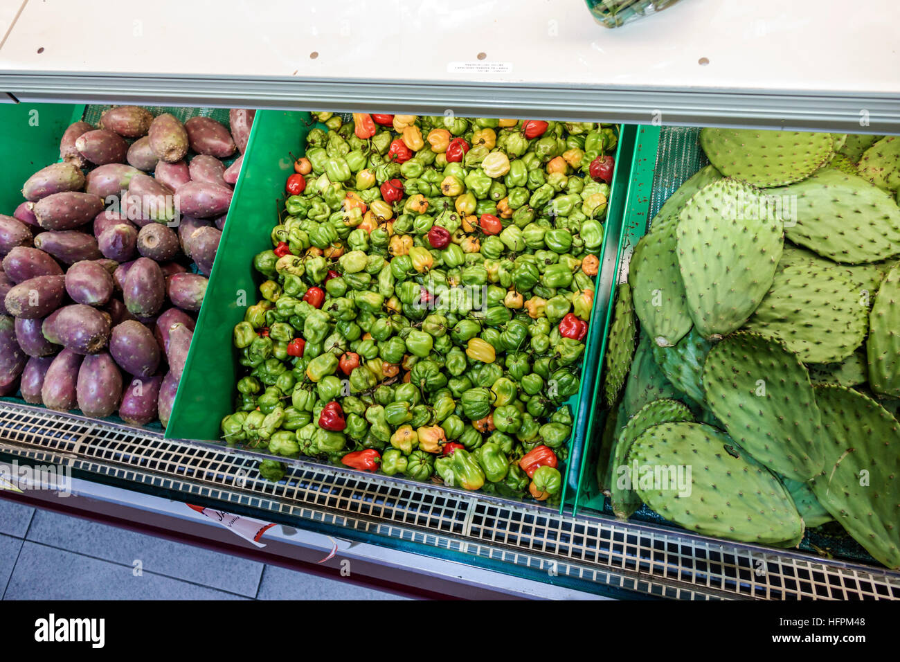 New York City, NY NYC Long Island City, Lebensmittelgeschäft, Supermarkt, Produkte, Obst, Nopal, Kaktus, Kaktus, Kaktusfeigen, Pfeffer, Ausstellungsverkauf Inneneinrichtung, NY160722107 Stockfoto