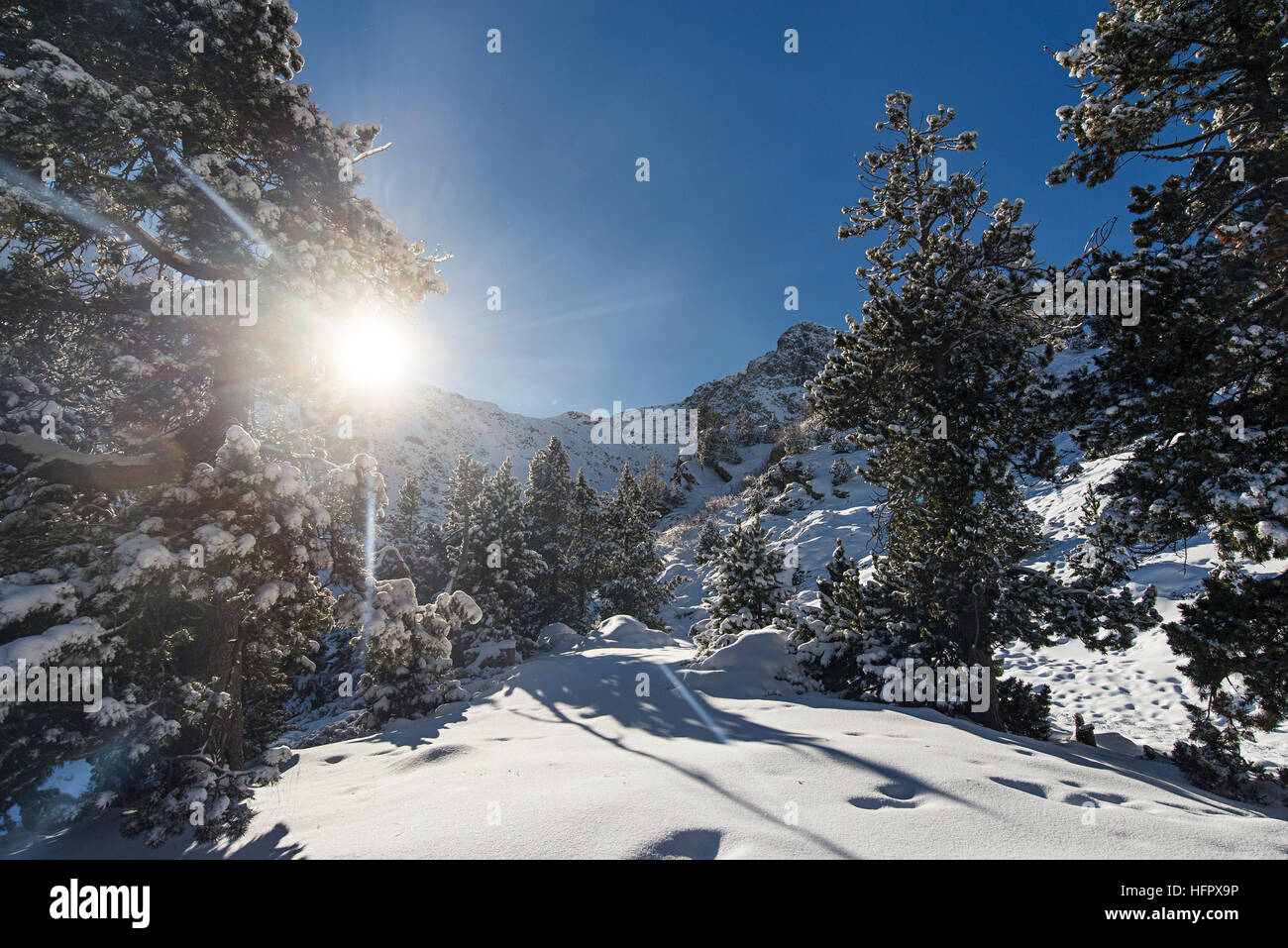 Winter in den Bergen Stockfoto