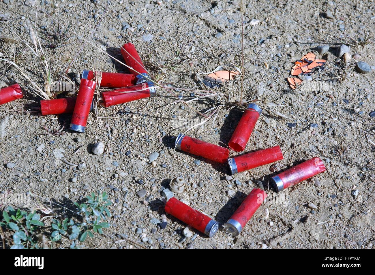 Gebrauchte Schrotpatronen im Dreck Stockfoto
