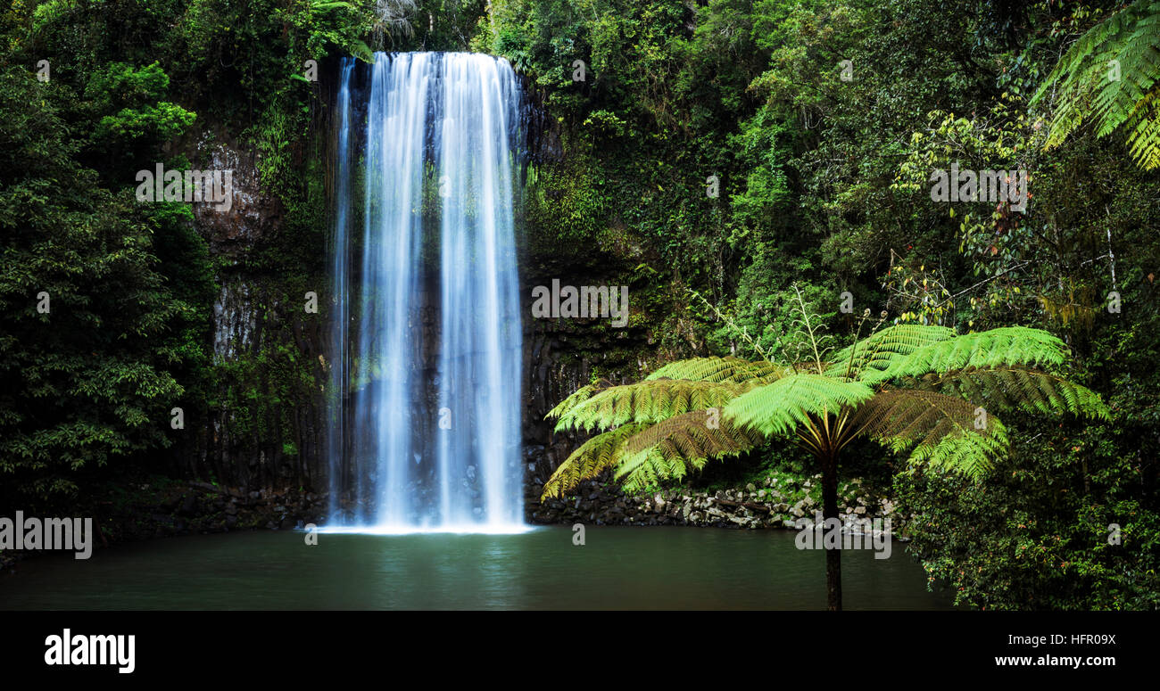 Millaa Millaa Falls. Queensland, Australien Stockfoto