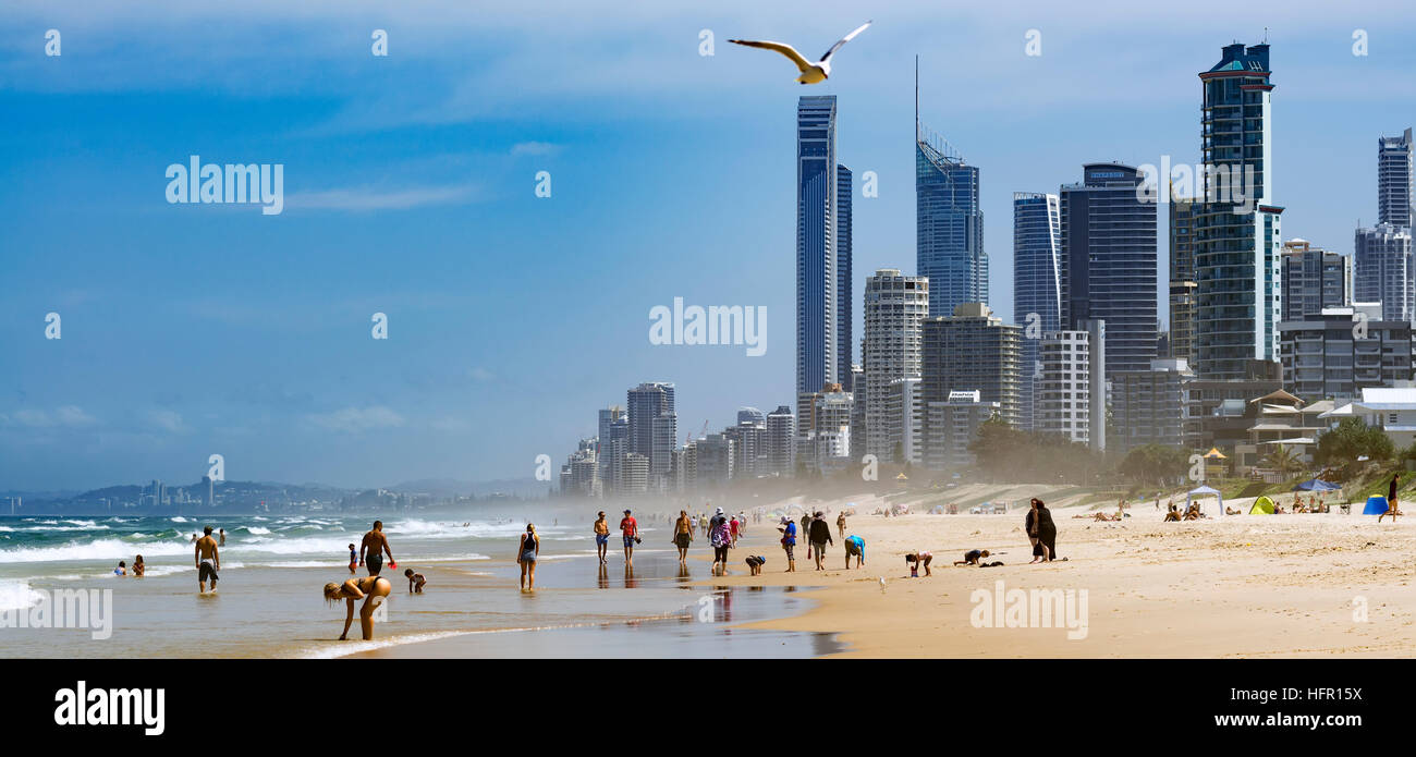 Gold Coast Beach, Gold Coast, Australien. Stockfoto