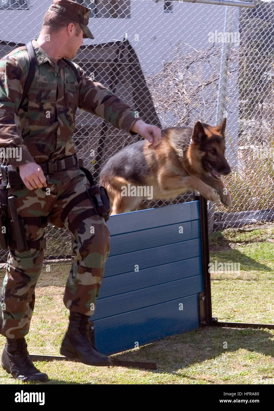 070314-N-0483B-002 YOKOSUKA, Japan (14. März 2007) - Waffenwart 2. Klasse Howard Avery trainiert Jack, ein militärischer Arbeitshund, wie er über eine niedrige Mauer ein Hindernis-Parcours an Bord Befehlshaber Flotte Aktivitäten Yokosuka springt. Die Arbeitshunde laufen die Hindernis-Parcours, in Form zu halten und Szenarien für das echte Leben vorzubereiten. Foto: U.S. Navy Masse Kommunikation Spezialist Seemann Kari R. Bergman (freigegeben) US Navy 070314-N-0483B-002 Waffenwart 2. Klasse Howard Avery trainiert Jack, ein militärischer Arbeitshund, wie er über eine niedrige Mauer ein Hindernis-Parcours springt Stockfoto