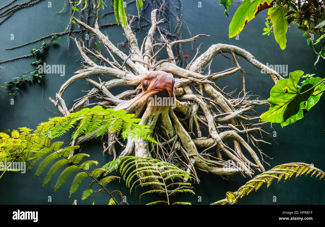 Cty, Gardens By the Bay, Treeroot Adler schnitzen im Secret Garden des Hauses Cloud Forest green Stockfoto