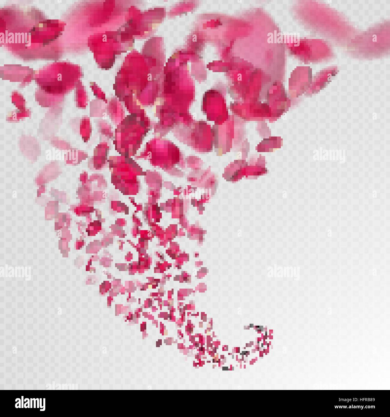 Rosa Rosenblätter fallen auf transparenten Hintergrund. 10 EPS-Vektor-Datei enthalten Stock Vektor