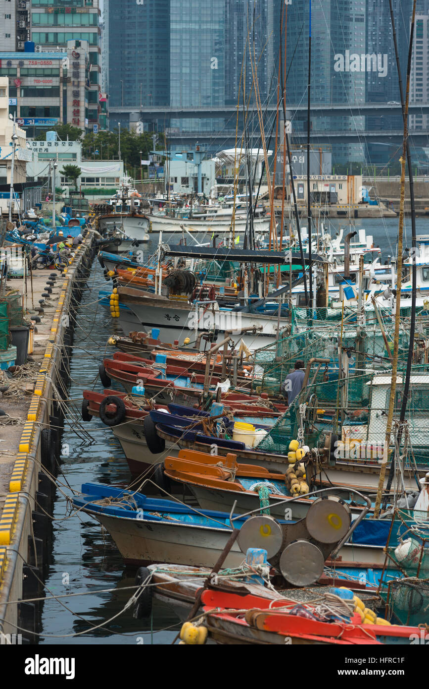 Reihen von Angelboote/Fischerboote vertäut am Centum Stadt, Busan, im Gegensatz zu den modernen Wolkenkratzern nach hinten. Stockfoto