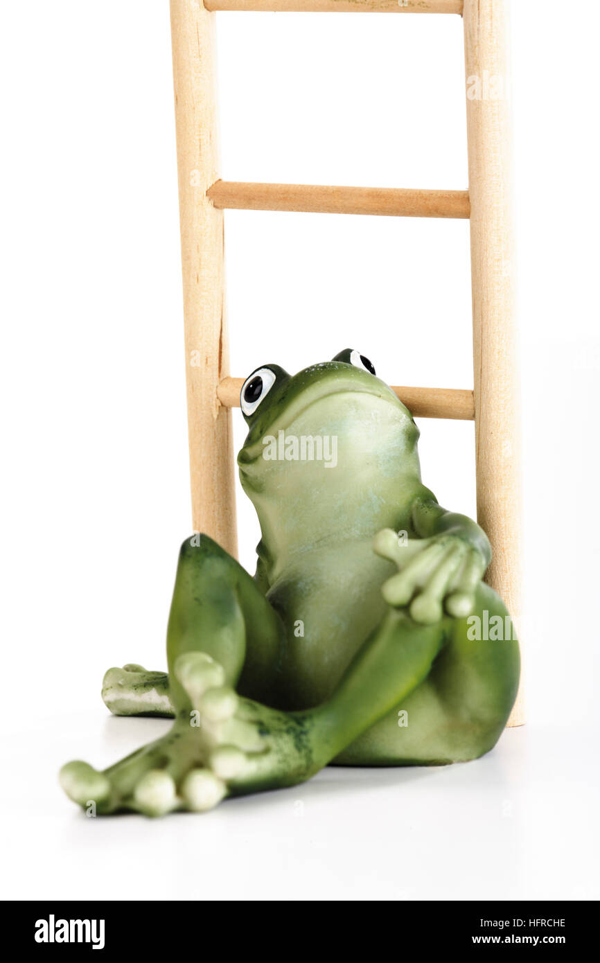 Frosch sitzt vor einer Leiter Stockfoto
