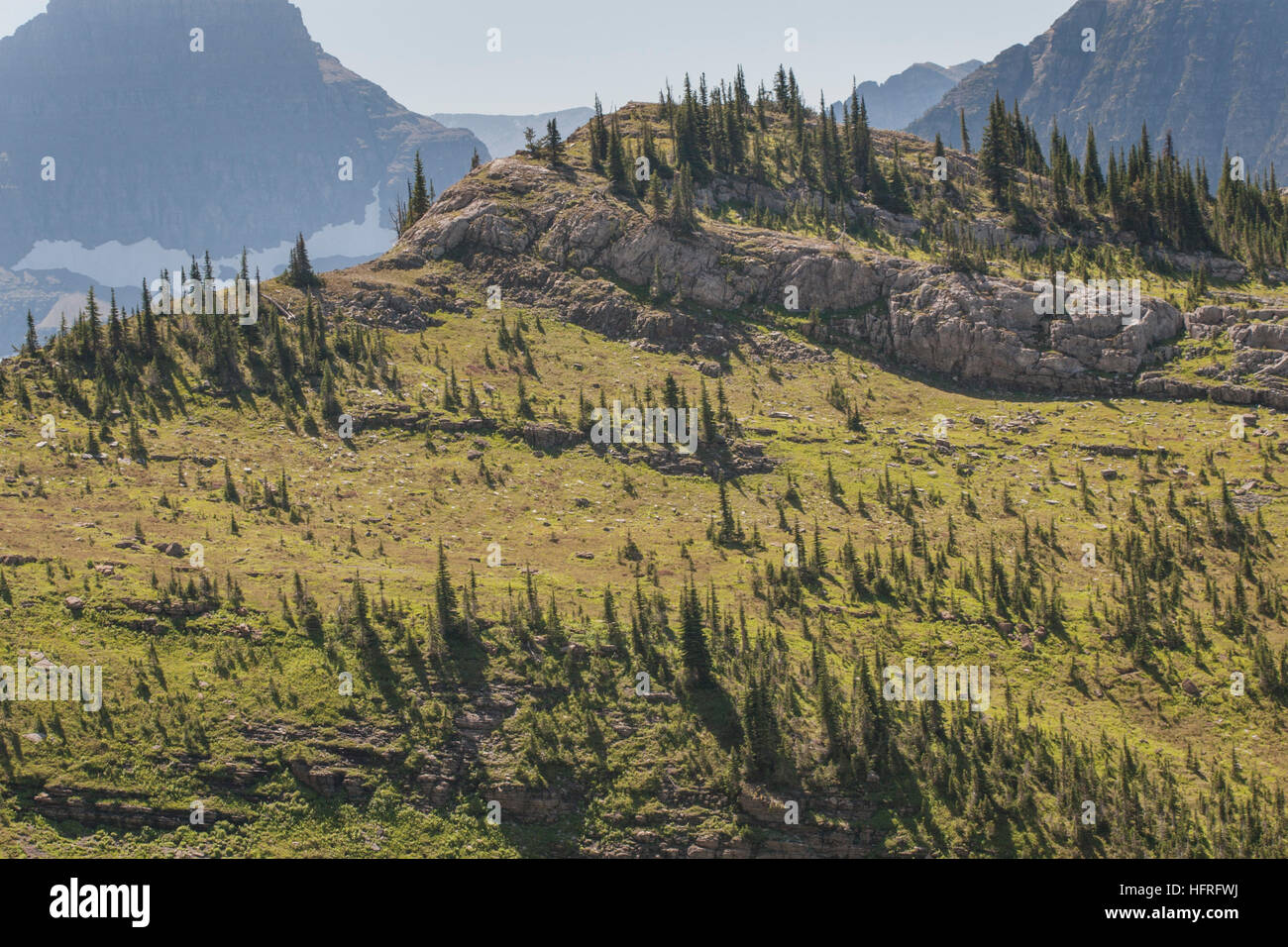 Moutain View im Glacier National Park, Montana, USA. Stockfoto