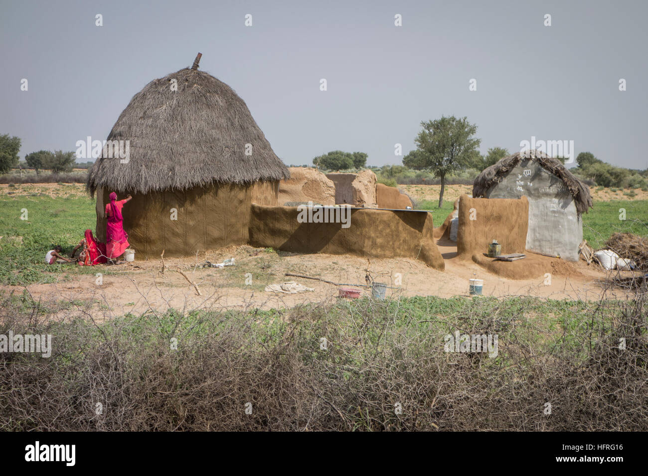 Frau eine Hütte aus Flechtwerk und Lehm Bau Technik frische Schicht von Daub hinzufügen. Rajasthan, Indien. Stockfoto