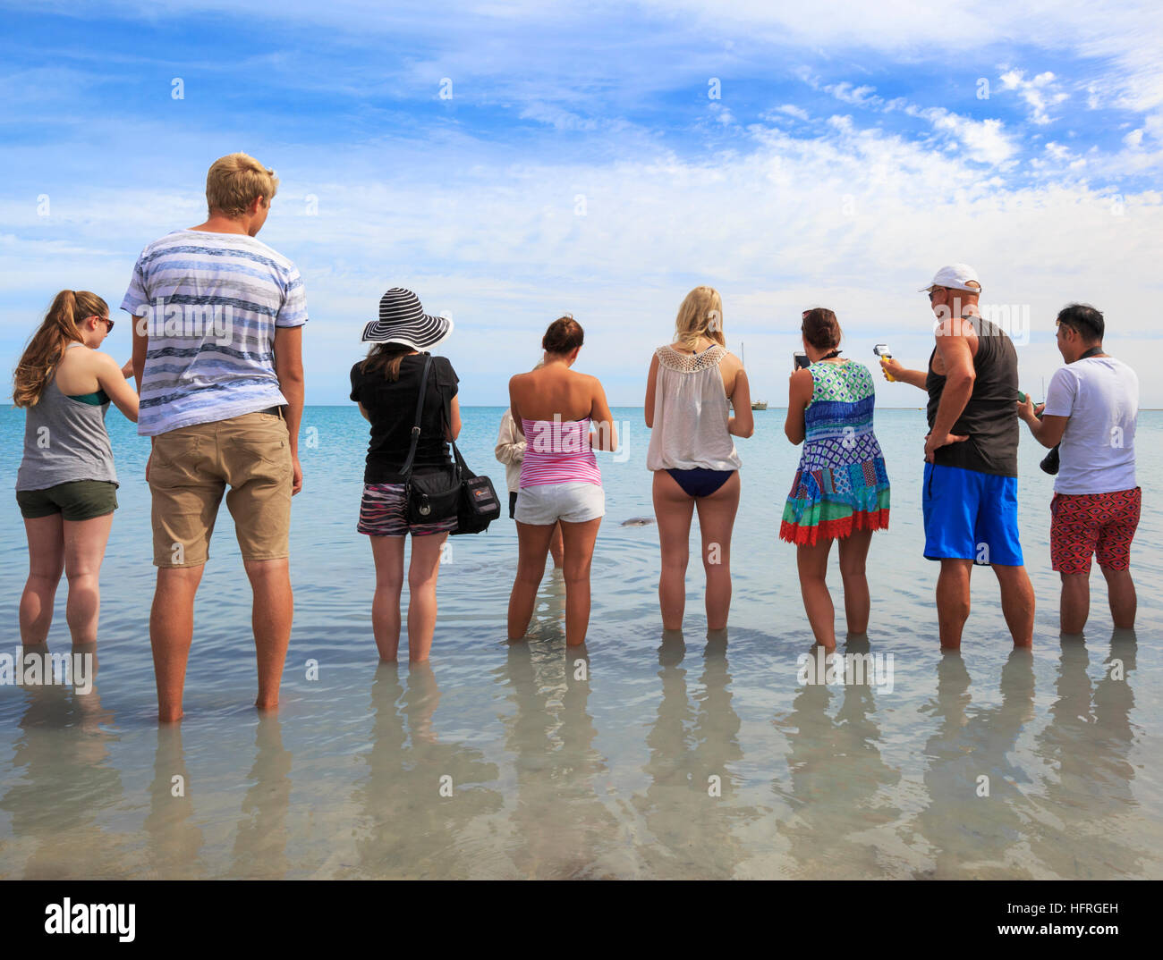 Menschen säumen den Strand die Delphine in Monkey Mia zu sehen. Western Australia Stockfoto