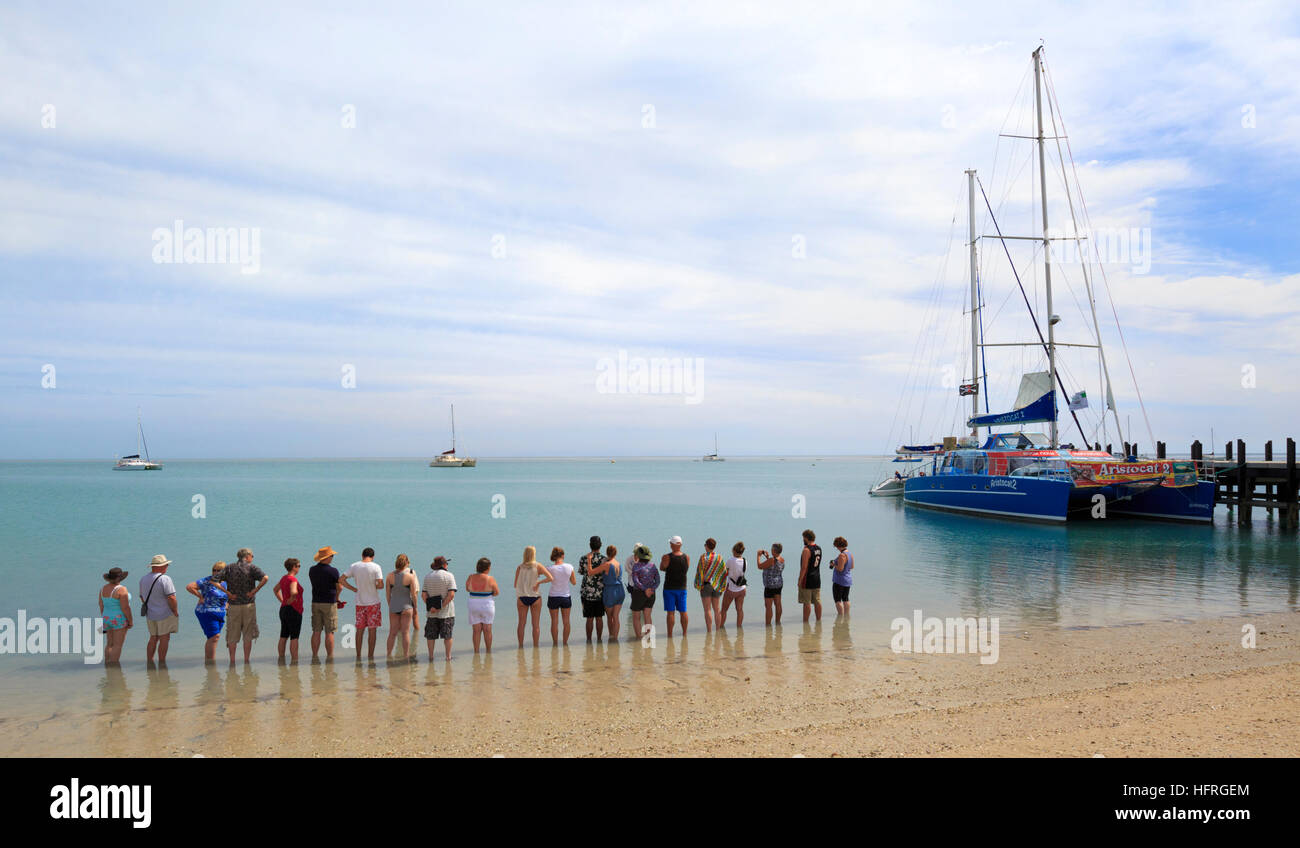 Menschen säumen den Strand die Delphine in Monkey Mia zu sehen. Western Australia Stockfoto