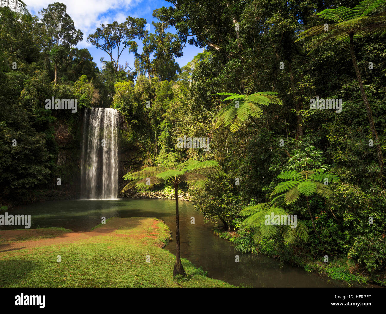 Millaa Millaa Falls. Queensland, Australien Stockfoto