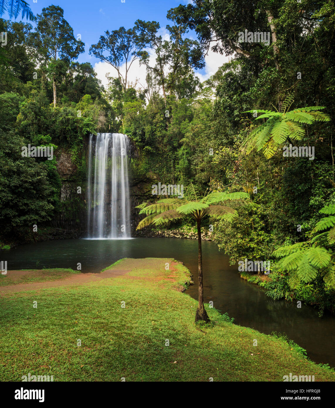 Millaa Millaa Falls. Queensland, Australien Stockfoto