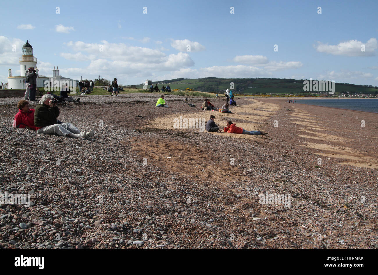 Chanonry Point Moray Firth Black Isle Stockfoto