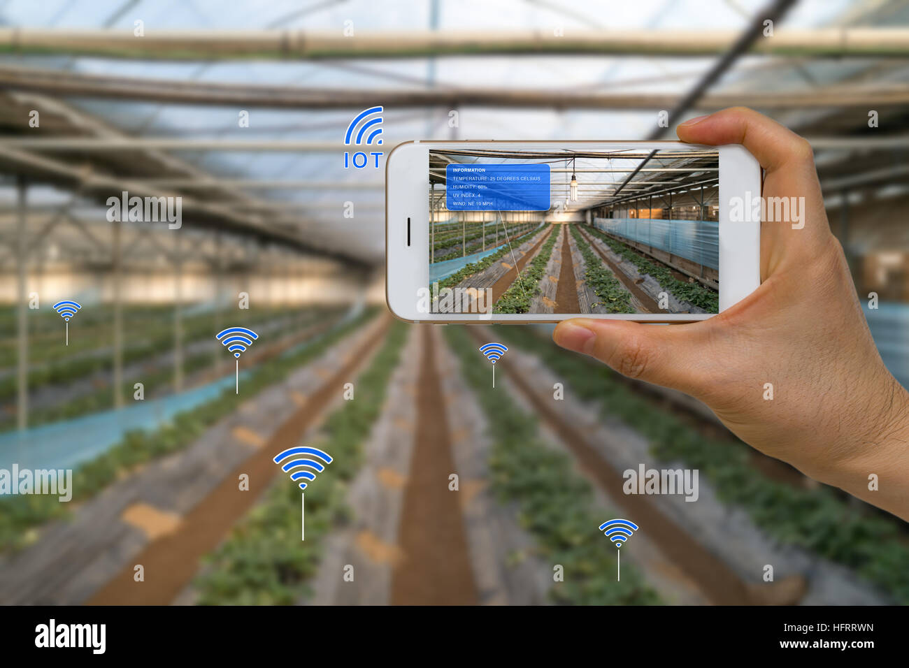 App auf smart zeigt intelligente Landwirtschaft Landwirtschaft Gerätekonzept mit Internet der Dinge, IOT und augmented Reality, AR. Stockfoto