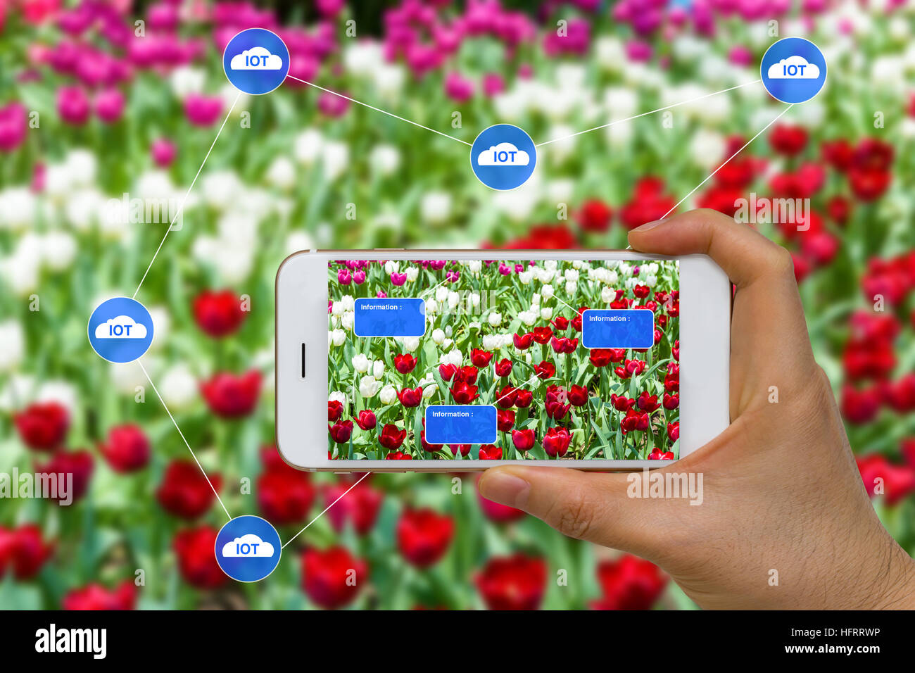 App auf smart zeigt intelligente Landwirtschaft Landwirtschaft Gerätekonzept mit Cloud, big Data und augmented Reality, AR. Stockfoto