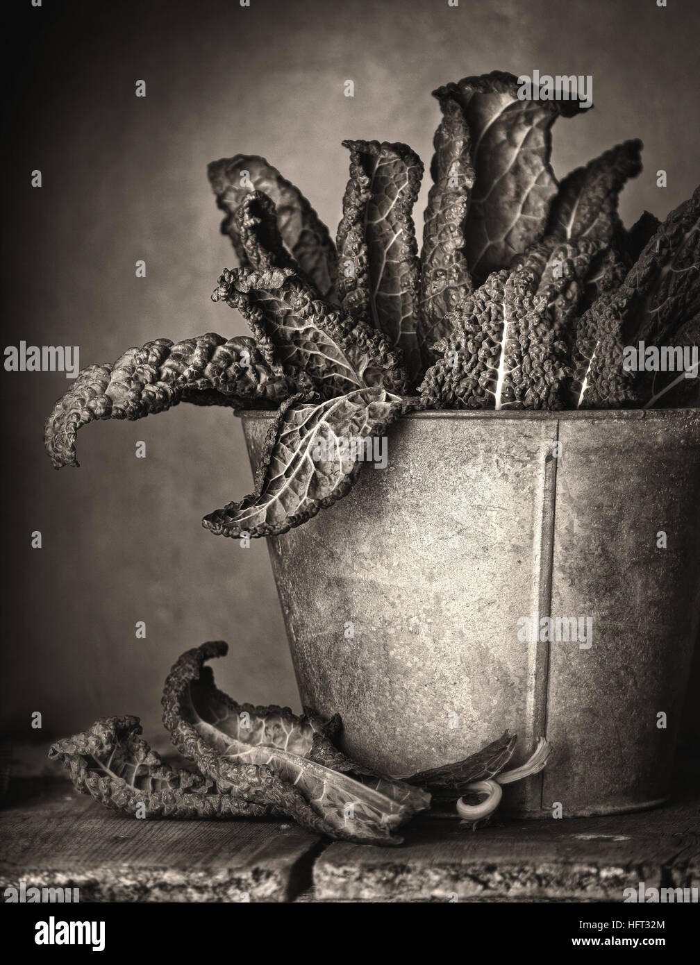Bildende Kunst Stillleben von Kale in antiken Eimer, Sepia getönt Stockfoto