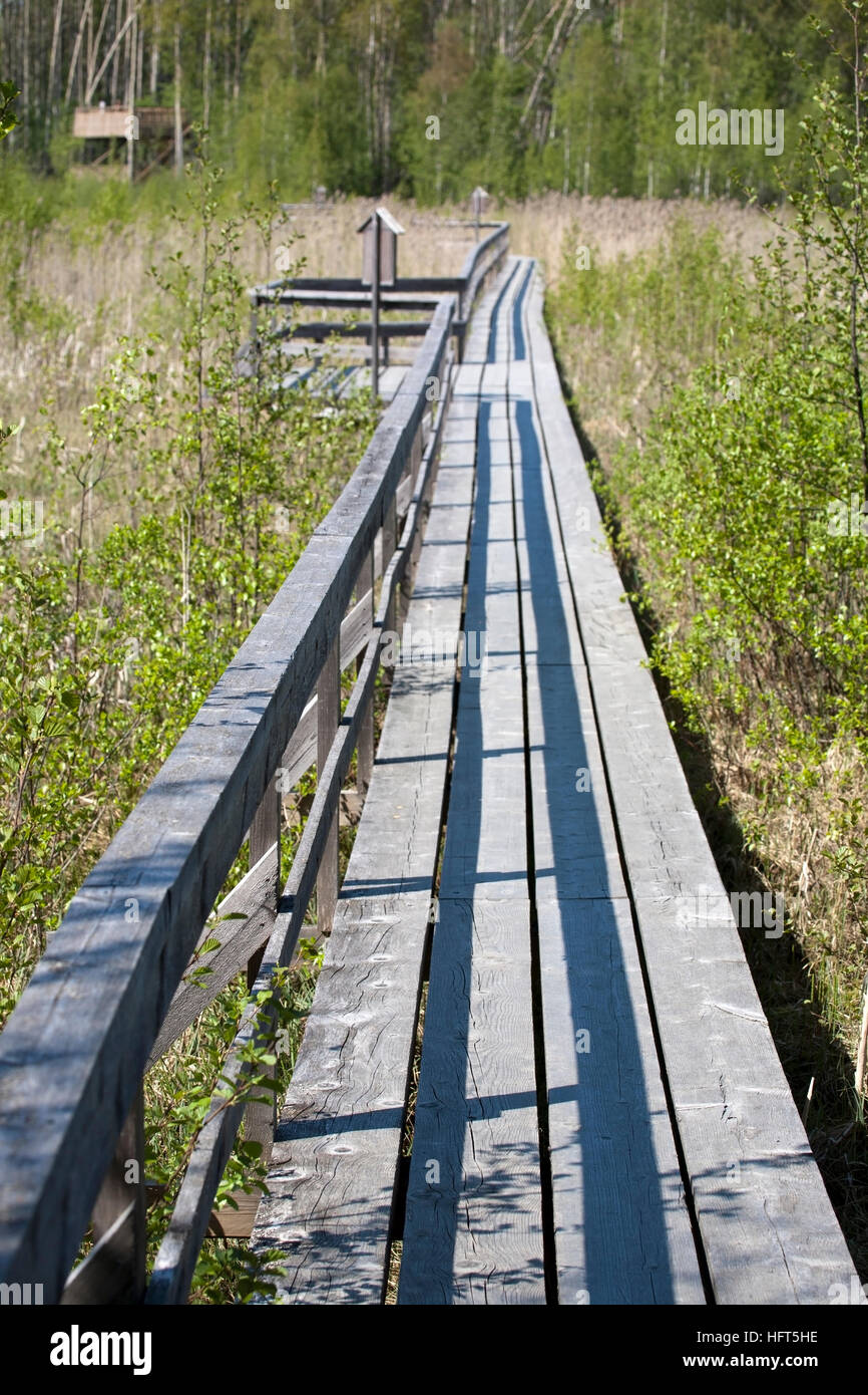 Siikalahti Wetland Nature Reserve, Finnland Stockfoto