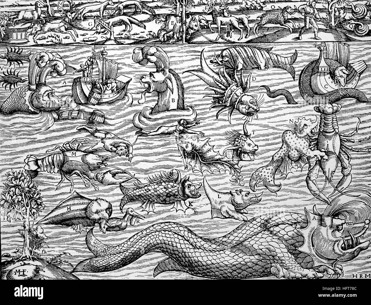 Die Wunder des Meeres und seine Geschöpfe, Faksimile von Sebastians Münsters Kosmographie, 1550, Holzschnitt aus dem Jahr 1885, digital verbessert Stockfoto