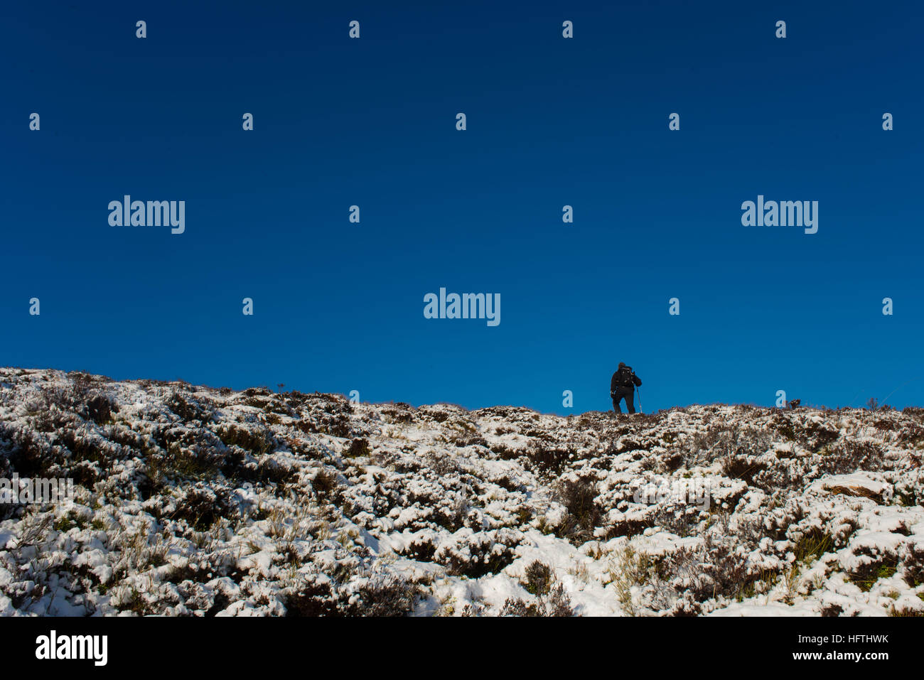 Mann klettern die unteren Hänge des Ben Wyvis in der Nähe von Dingwall mit leichtem Schnee abdecken Stockfoto