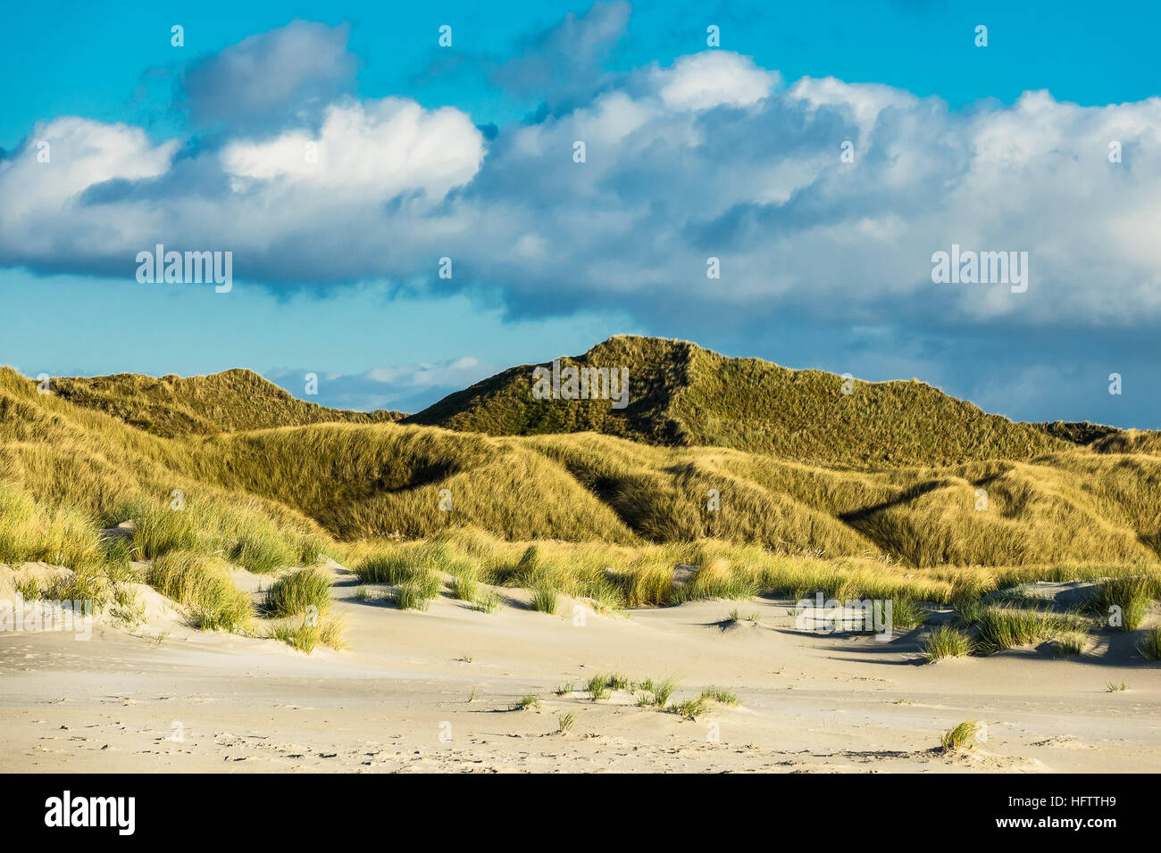 Dünen an der Nordsee Insel Amrum, Deutschland Stockfoto