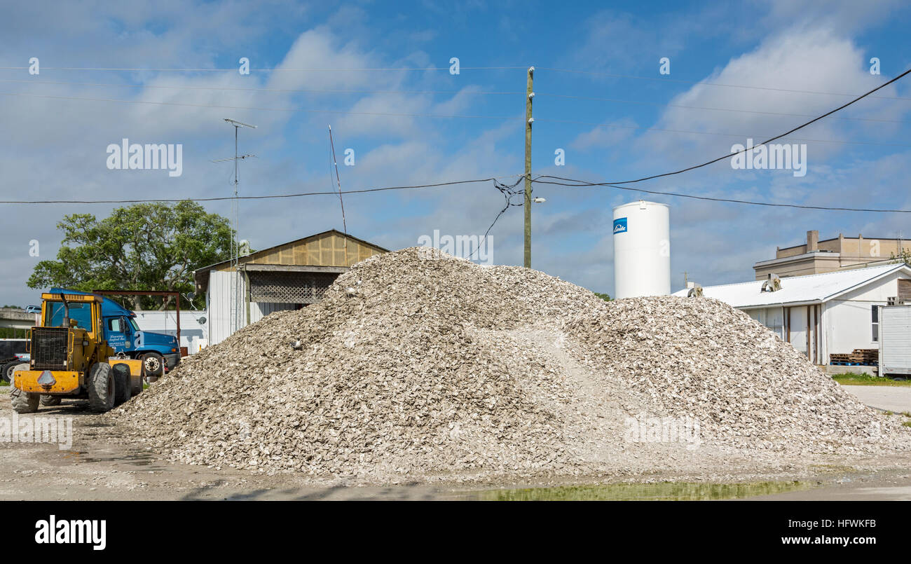 Florida, Apalachicola, Austernschalen warten auf recycling Stockfoto