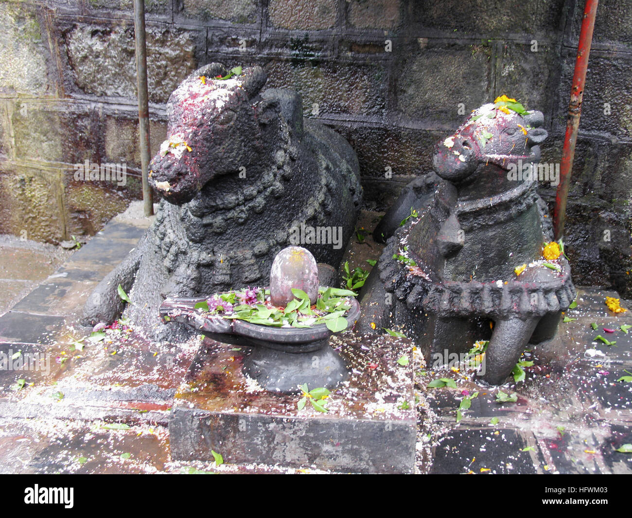 Nandi (Statue von Bull) in Lord ShivaTempel und Shiva Linga