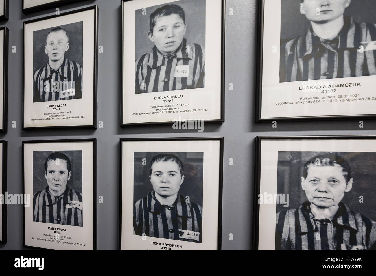 Fotos von Deportierten im KZ Auschwitz Stockfoto