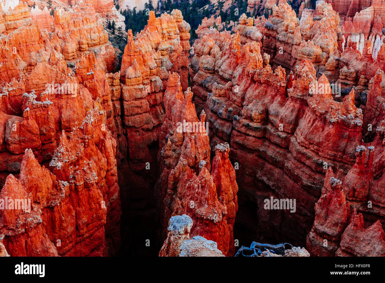 Bryce Canyon ist eine Sammlung von natürlichen Amphitheater des Paunsaugunt Plateaus beiseite. Bryce ist unverwechselbar aufgrund von geologischen Strukturen, so genannte hoodo Stockfoto