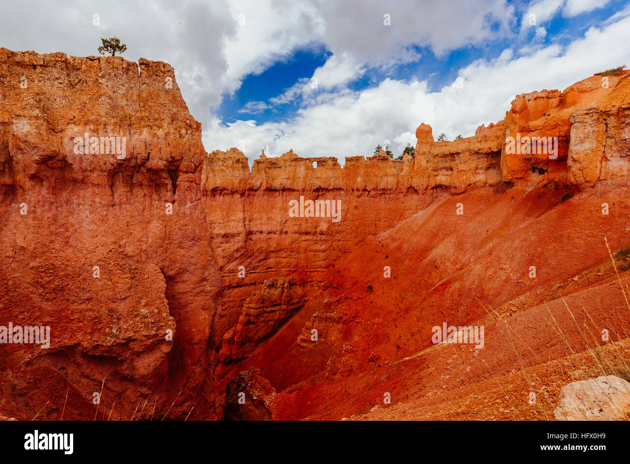 Bryce Canyon ist eine Sammlung von natürlichen Amphitheater des Paunsaugunt Plateaus beiseite. Bryce ist unverwechselbar aufgrund von geologischen Strukturen, so genannte hoodo Stockfoto