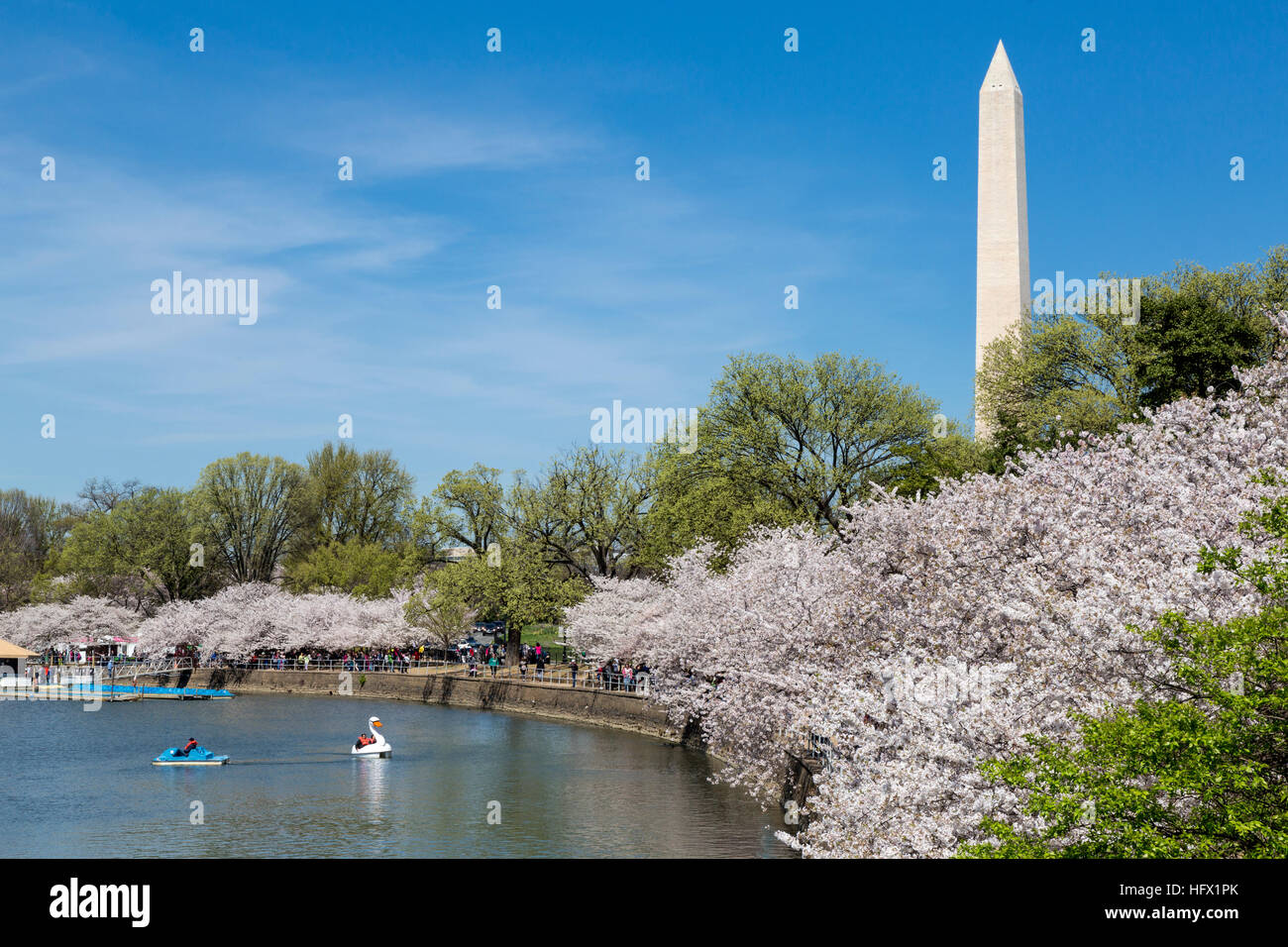Washington Monument, Kirschblüten und Paddel Bootfahren auf der Tidal Basin, Washington, D.C. Stockfoto