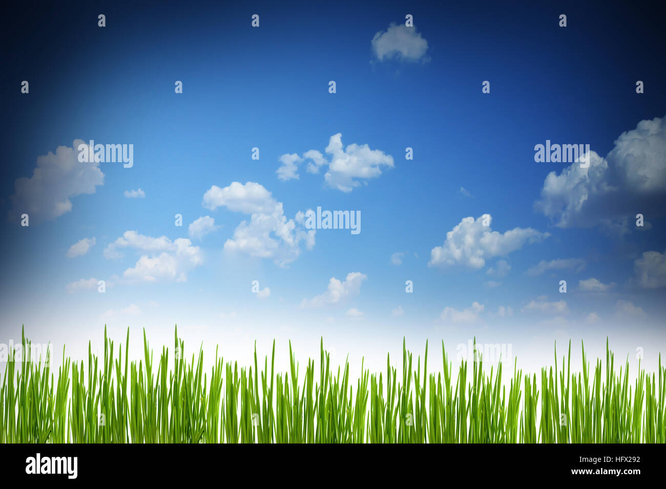 Frischen grünen Rasen Hintergrund mit blauer Himmel Stockfoto