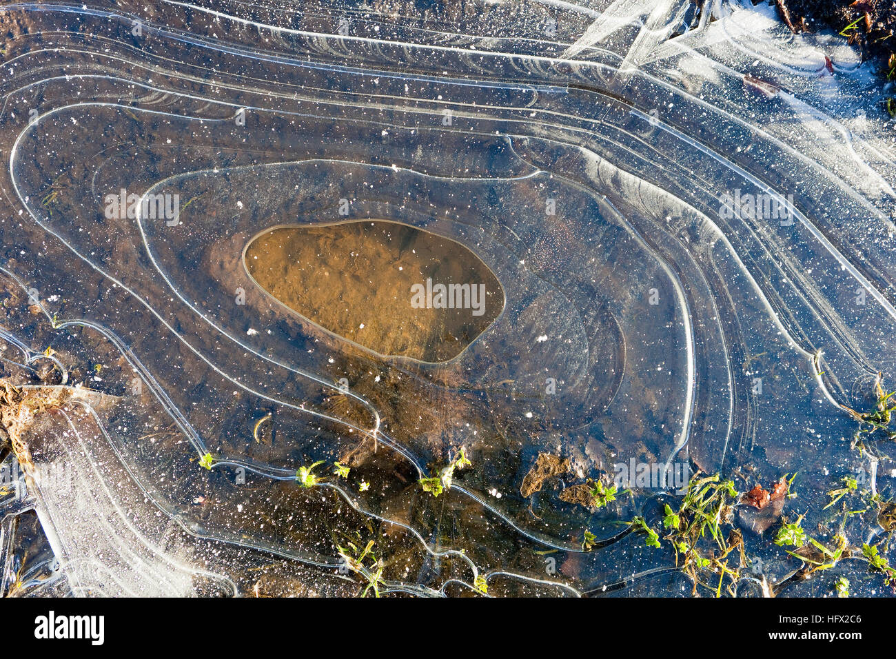 Zusammenfassung Hintergrund mit Mustern, Formen und Texturen der eine gefrorene Pfütze im winter Stockfoto