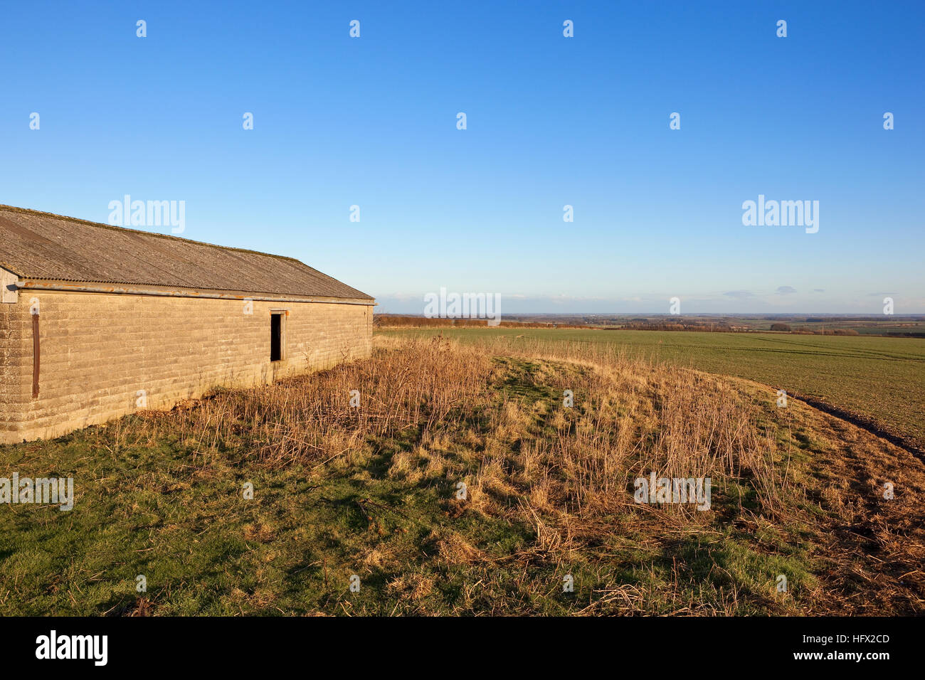 Klaren, blauen Himmel über englische Landschaft im Winter mit einem alten Bauernhof bauen in den Bereichen Patchwork der Yorkshire Wolds. Stockfoto