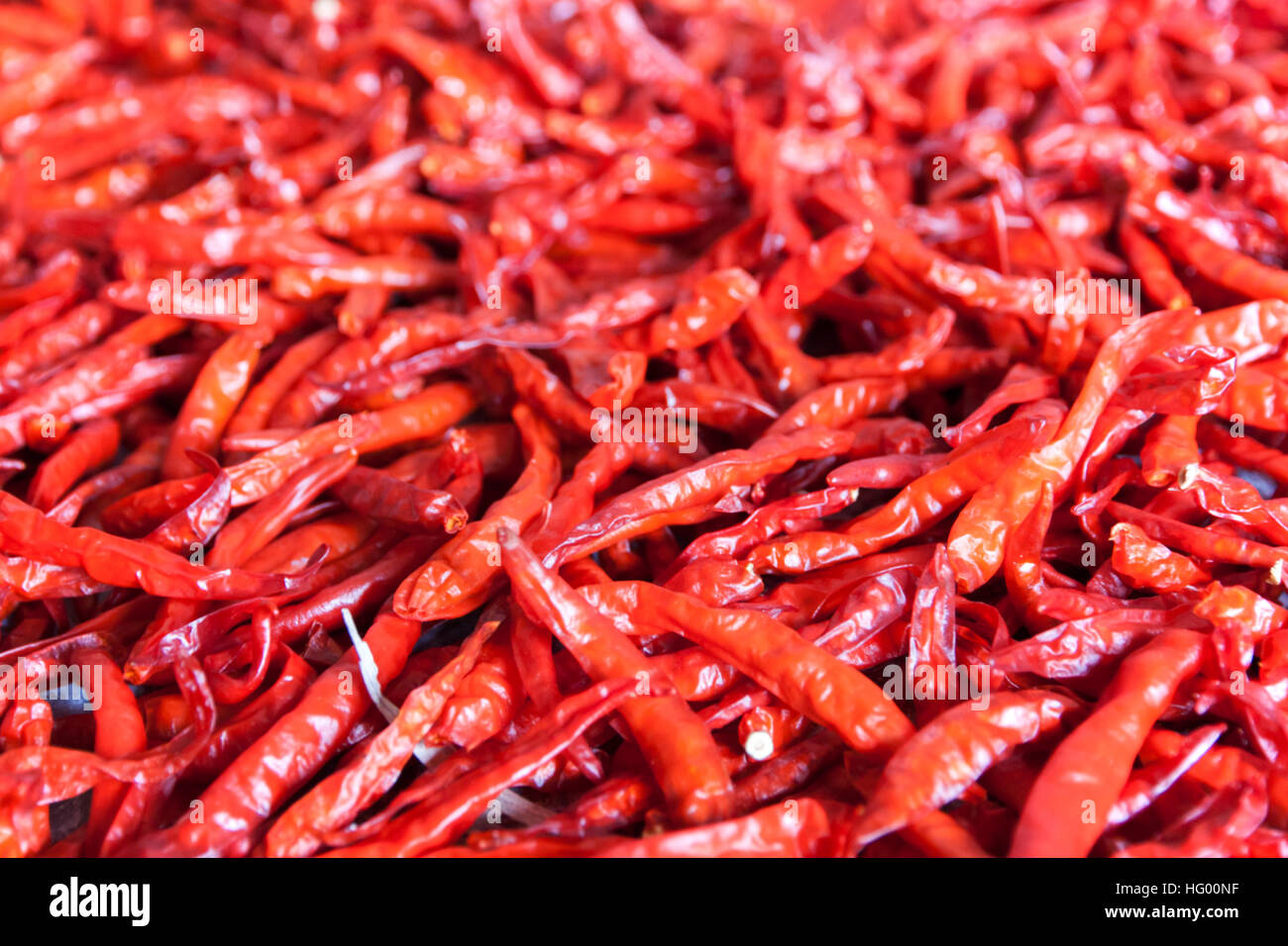 Getrocknete rote Chili-Pfeffer-Gewürz mit der Sonne. Das Essen lange haltbar. Stockfoto