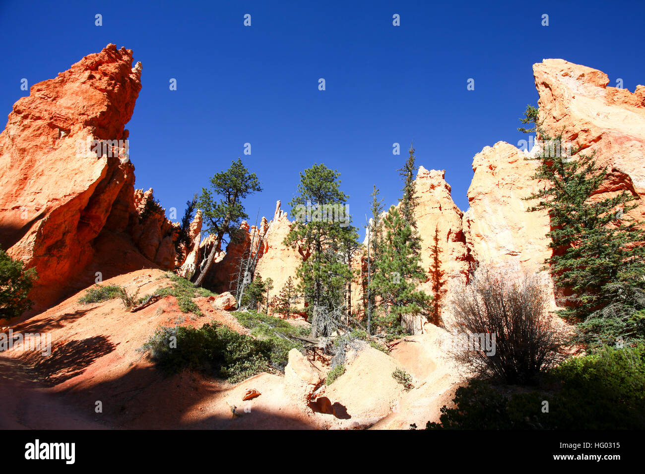 Bryce Canyon National Park, Utah, USA Stockfoto