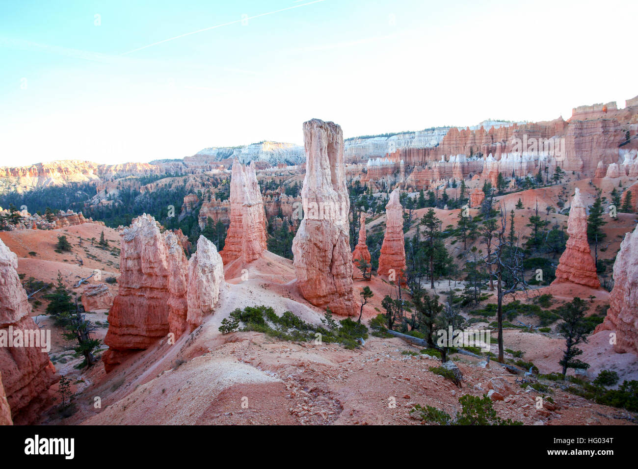 Bryce Canyon National Park, Utah, USA Stockfoto