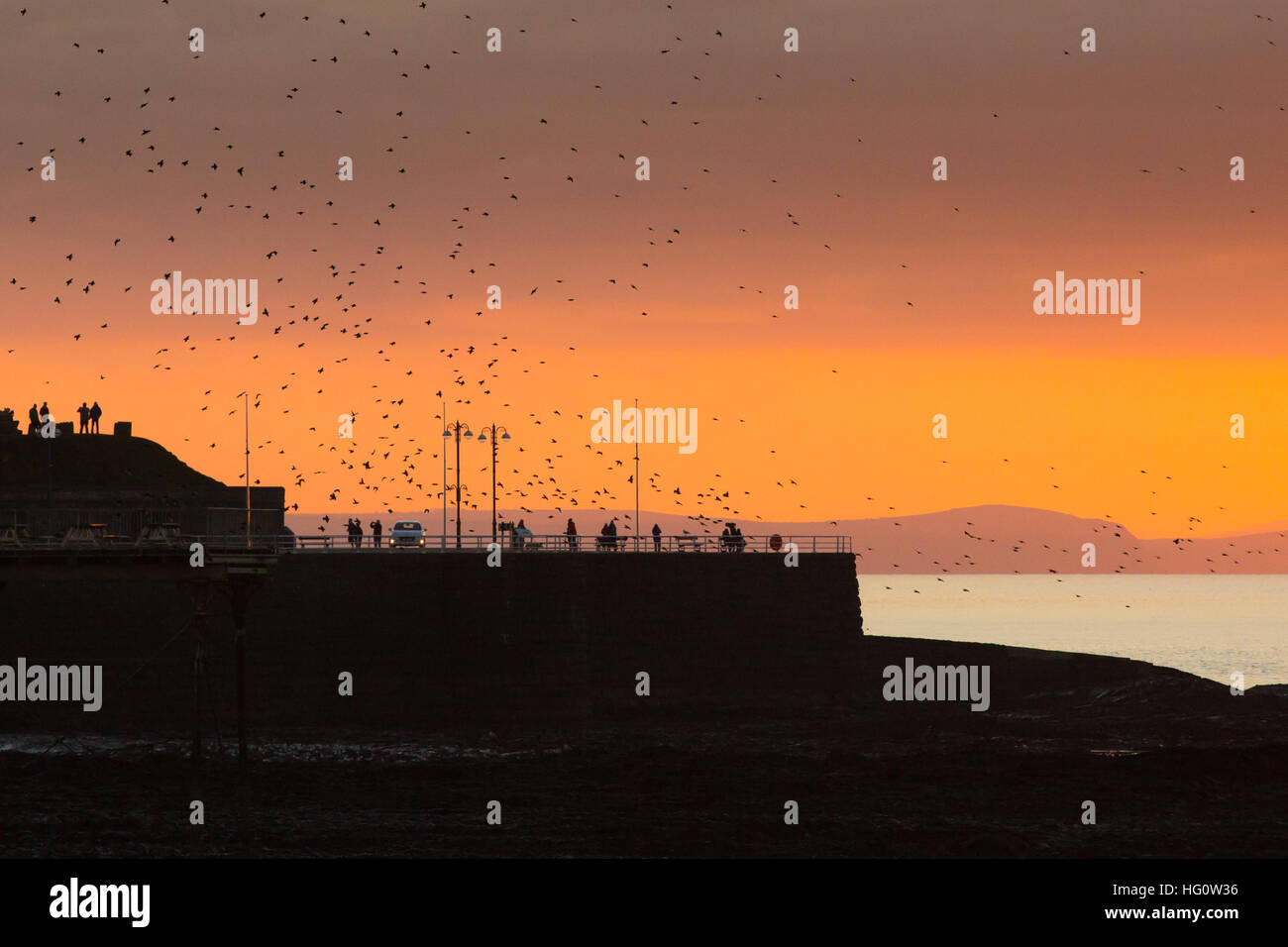 Aberystwyth, Wales, UK. 2. Januar 2017. Am Ende der einen perfekten sonnigen Wintertag sammeln Stare Roost in Aberystwyth. Sonnenuntergang, Meer und Pembrokeshire Hügeln im Hintergrund. Bildnachweis: Alan Hale/Alamy Live-Nachrichten Stockfoto