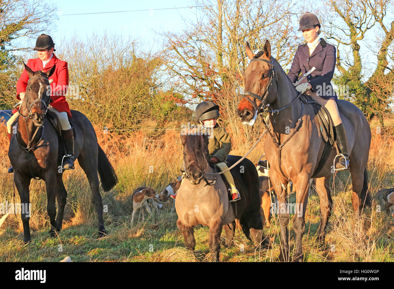 Chorley, UK. 2. Januar 2017. Ein wenig pony mit Nachwuchsfahrer neben full-Size Pferde, Chorley, 2. Januar 2017 © Barbara Koch/Alamy Live-Nachrichten Stockfoto