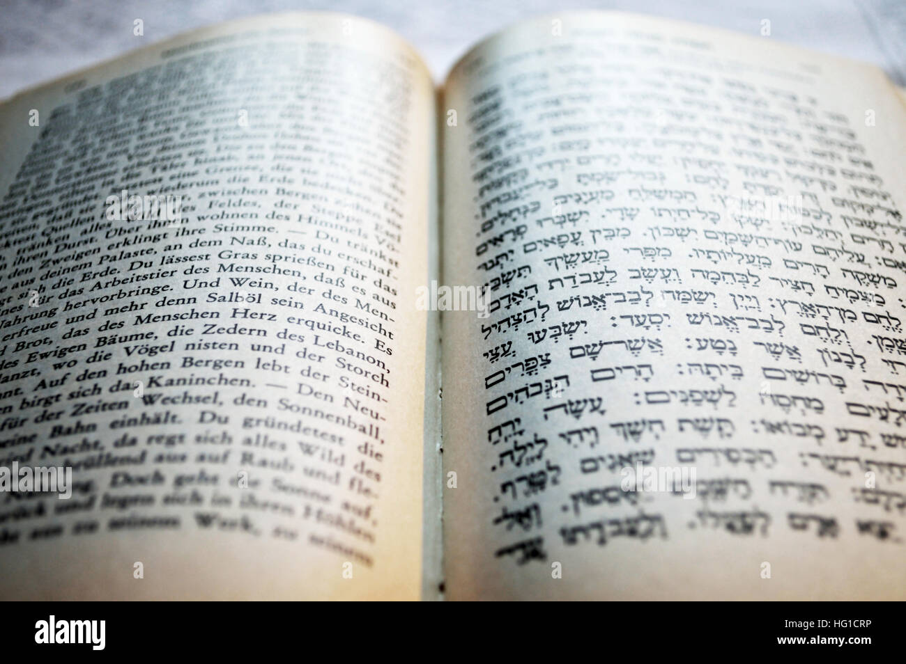 Auszug in Hebräisch schreiben aus Shulchan Aruch mit deutscher Übersetzung Stockfoto